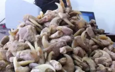 Nghệ An: Người đàn ông bị phạt hơn 260 triệu đồng vì tàng trữ 33 móng vuốt và xương sư tử