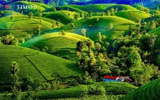 Mê mẩn chốn “bồng lai tiên cảnh” ở vùng Đất Tổ