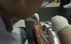 Người dân Đông Nam Á dễ nhiễm vi nhựa nhất thế giới, vì một lý do!