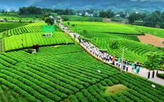 Thái Nguyên: Khám phá tiềm năng du lịch "Đệ nhất danh trà"