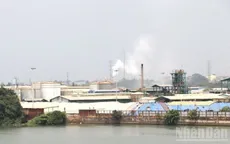 Đồng Nai phạt 3 công ty hơn 1,3 tỷ đồng vì vi phạm môi trường