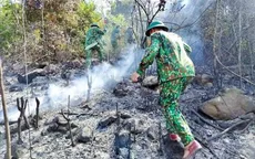 Nghệ An: Kịp thời khống chế, dập tắt vụ cháy rừng