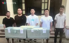 Lào Cai: Triệt phá đường dây buôn lậu kim loại quý quy mô lớn xuyên biên giới