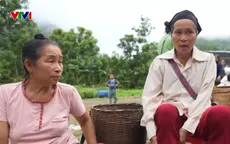 Nghĩa tình phiên chợ biên cương