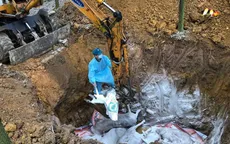 Phát hiện ngăn chặn và tiêu hủy 14 tấn lợn bị dịch tả Châu Phi