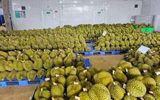 Giải pháp để nông nghiệp đạt mục tiêu xuất khẩu trên 60 tỷ USD