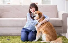 5 nguyên nhân khiến thú cưng bất ngờ cắn chủ