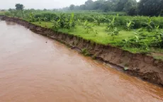 Sạt lở nghiêm trọng bờ sông Thao ở Phú Thọ