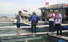 Quảng Ninh triển khai ứng phó bão số 3, tuyệt đối không lơ là