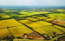 Đề xuất quy định hướng dẫn việc kéo dài thời hạn miễn thuế sử dụng đất nông nghiệp