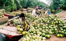 Khai phá thị trường mới, tiếp tục đưa trái cây Việt lên kệ hàng quốc tế