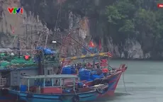 Đặc khu Vân Đồn vào trạng thái khẩn cấp ứng phó bão số 3, không bị động