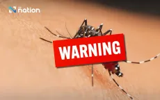 Virus Zika bùng phát, Thái Lan phát cảnh báo đến người dân và khách du lịch