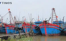Bão số 3 - WIPHA