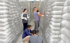 Ứng phó bão số 3: Bảo đảm an toàn hàng dự trữ quốc gia