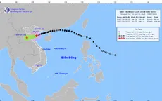 Ban Bí thư chỉ đạo tăng cường đôn đốc, kiểm tra, ứng phó bão số 3