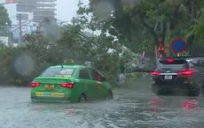 Thanh Hóa mưa trên 300mm, nhiều khu vực ngập lụt, cây đổ
