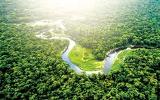 Thị trường carbon: Gỡ điểm nghẽn vốn và thể chế để khai thông tiềm năng tỷ đô