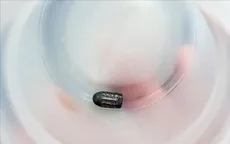 Xác định đối tượng dùng súng bắn chim khiến đạn lạc trúng đầu người phụ nữ
