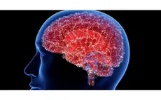 Từ trường có thể giúp ngăn chặn bệnh Alzheimer