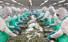 Gia tăng tỷ trọng thủy hải sản tiêu thụ thị trường nội địa