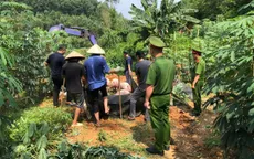 Dịch tả Châu Phi lan rộng ra 103 xã ở Phú Thọ, hơn 2.100 tấn lợn bị tiêu hủy