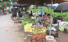 Hà Nội xử lý dứt điểm chợ tự phát và giết mổ nhỏ lẻ trong năm 2025