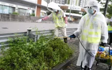 Hong Kong (Trung Quốc) cảnh báo nguy cơ gia tăng ca nhiễm virus chikungunya