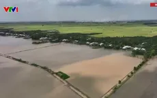 Mong chờ mùa lũ đẹp