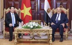 Chủ tịch nước Lương Cường hội kiến Chủ tịch Thượng viện Ai Cập