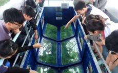 Cùng con khám phá cả thế giới ở Hong Kong Summer Viva 2025