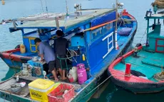 Phát hiện tàu cá tàng trữ chất độc xyanua tại Côn Đảo