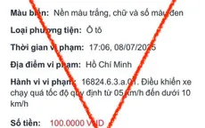 Cảnh báo chiêu lừa nộp phạt giao thông qua cổng dịch vụ công "giả"