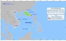 Bộ Nông nghiệp và Môi trường chỉ đạo ứng phó với áp thấp nhiệt đới trên Biển Đông