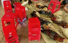 Tây Ninh: Triệt phá tụ điểm đá gà quy mô lớn, bắt giữ 51 người đá gà, thu hơn 200 triệu đồng