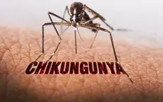 Bộ Y tế yêu cầu tăng cường phòng, chống bệnh Chikungunya tại các địa phương