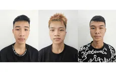 Bắt nhóm đối tượng chuyên trộm cắp tài sản tại các di tích