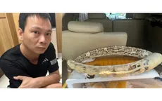Khởi tố đối tượng mua bán ngà voi tại chung cư ở Hà Nội