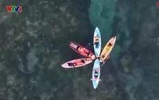 Du lịch xanh bảo vệ môi trường biển đảo