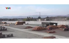 Hồi sinh từ “vùng đất chết” ở Fukushima, Nhật Bản