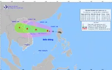 Bão số 5 giật cấp 11, Bắc Bộ, Thanh Hóa đến Huế sắp mưa lớn diện rộng