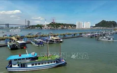 Quảng Ninh tạm ngừng cấp phép cho phương tiện thủy ra khơi