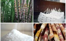 Thủ tướng: Nghiên cứu hỗ trợ doanh nghiệp mía đường duy trì sản xuất bền vững