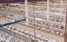 Nỗ lực tháo gỡ thủ tục hành chính để thu hút FDI sau hợp nhất