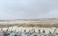 Bão số 5: Hơn 16.000 ha cây trồng ở Bắc Trung Bộ bị ngập úng