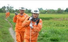 Đã khôi phục điện cho gần 80,5% khách hàng