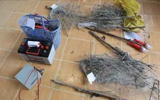Ngăn chặn hành vi bẫy chuột bằng điện