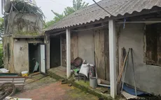 Trái tim nhỏ bé cần một phép màu