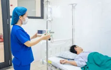 Hơn chục ca phản vệ do ong đốt trong vòng một tháng tại Phú Thọ