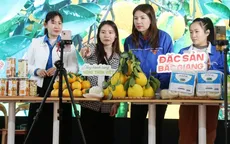 Thương mại điện tử đa kênh: Cơ hội "vàng" để tăng tốc xuất khẩu Việt Nam